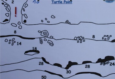 Turtle Point